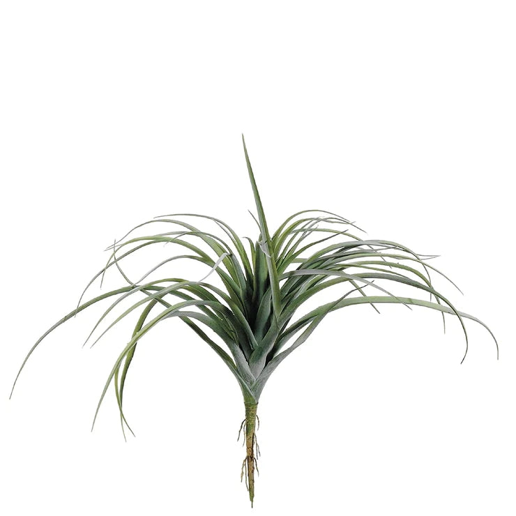 11" Tillandsia Green Gray