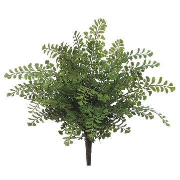16" Maidenhair Fern Plant Green