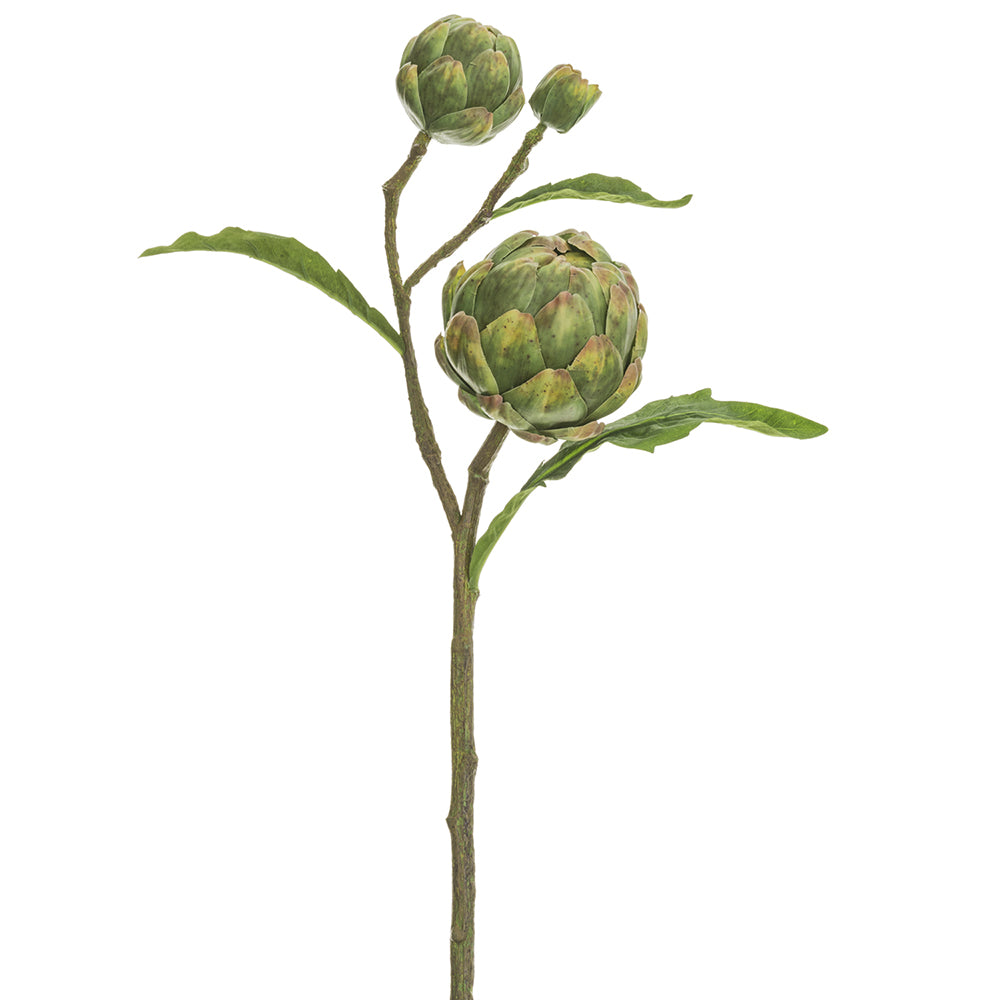 Artichoke Spray