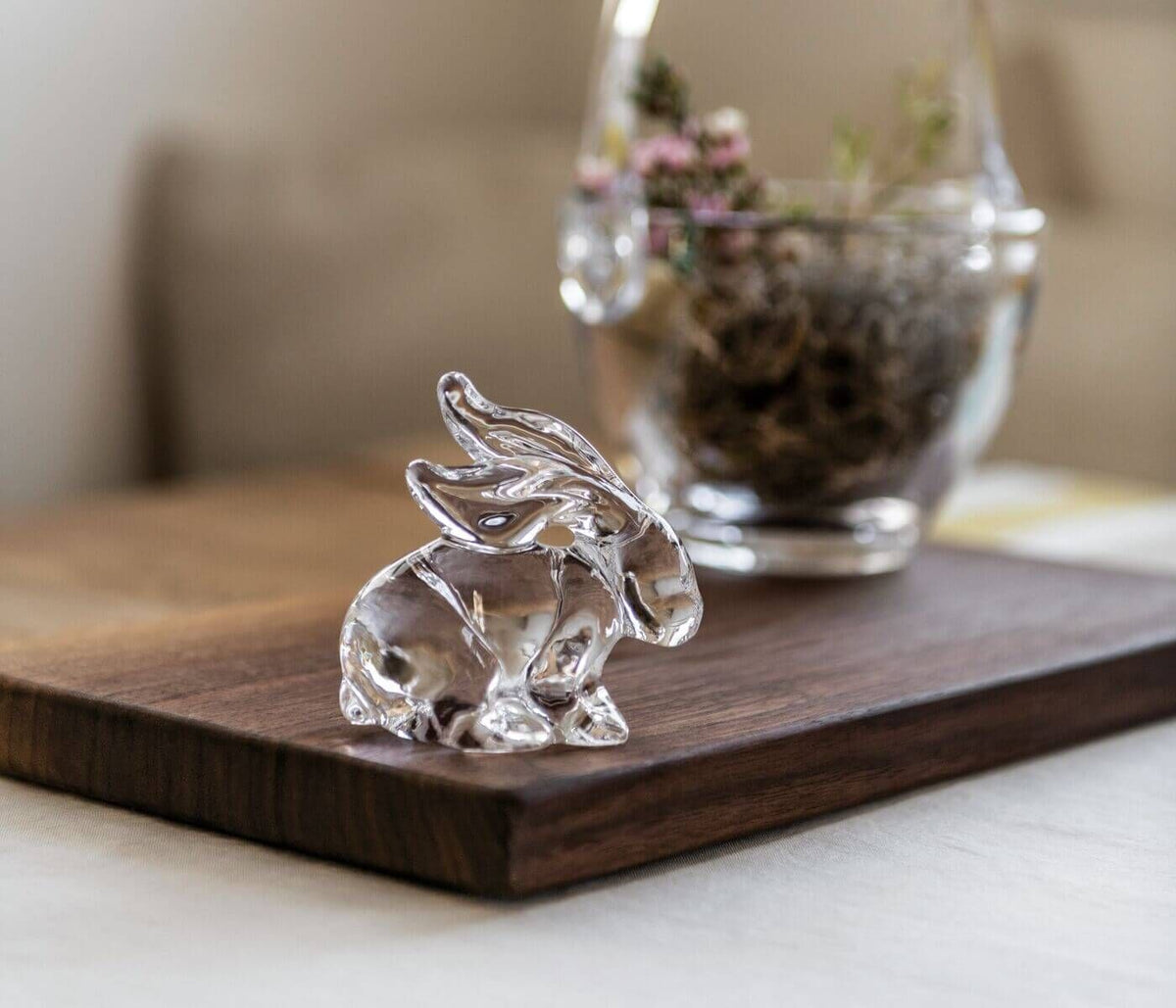 Rabbit in Gift Box
