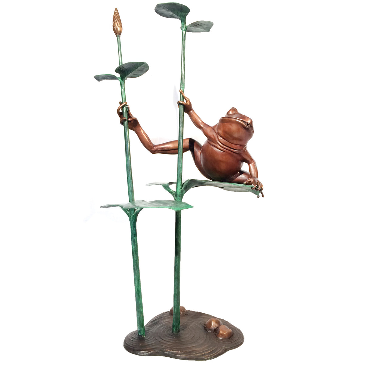 Bronze Frog Sitting on Leaf