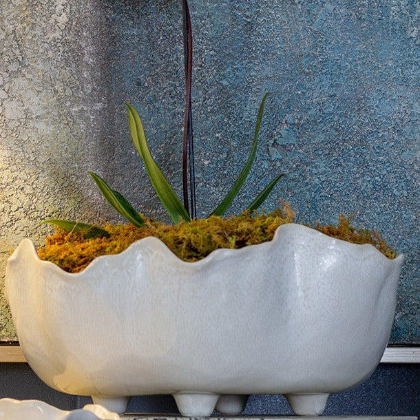 Magnus Bowl
