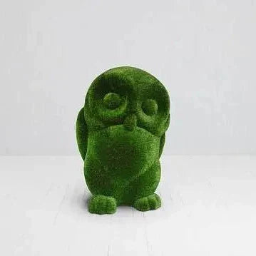Baby Owl
