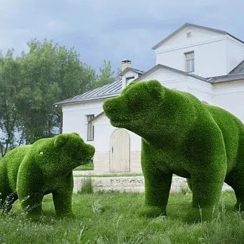 Bear Cub