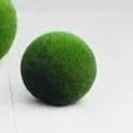 Ball - Small