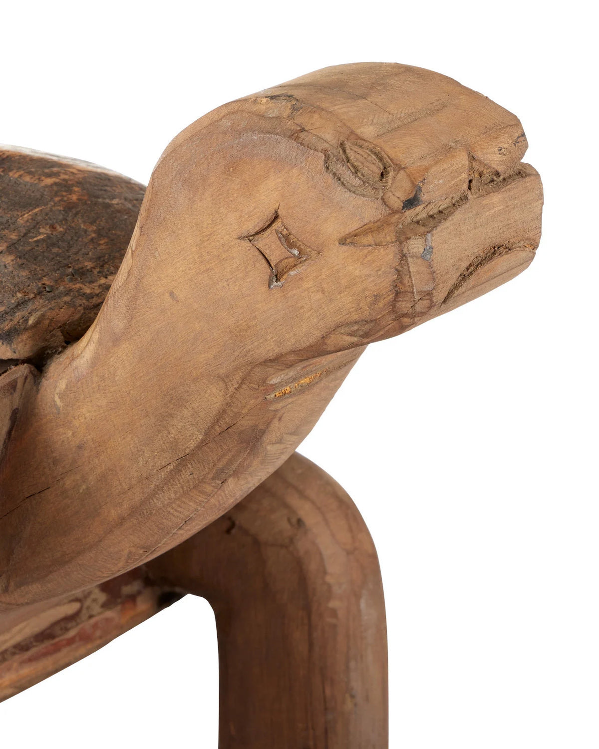 Wood Turtle Set