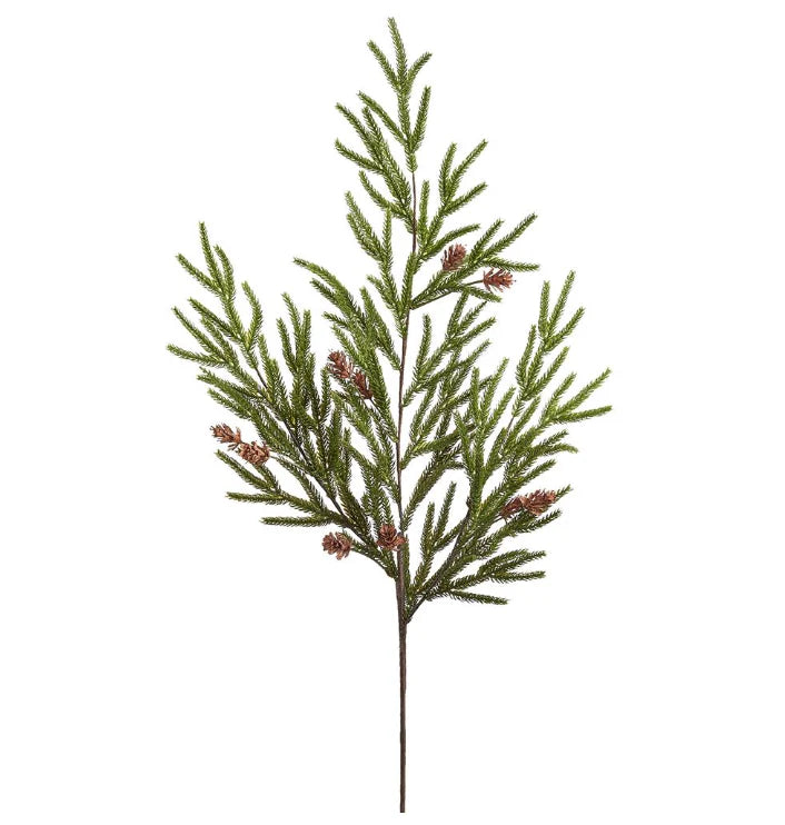 39" Spruce Branch