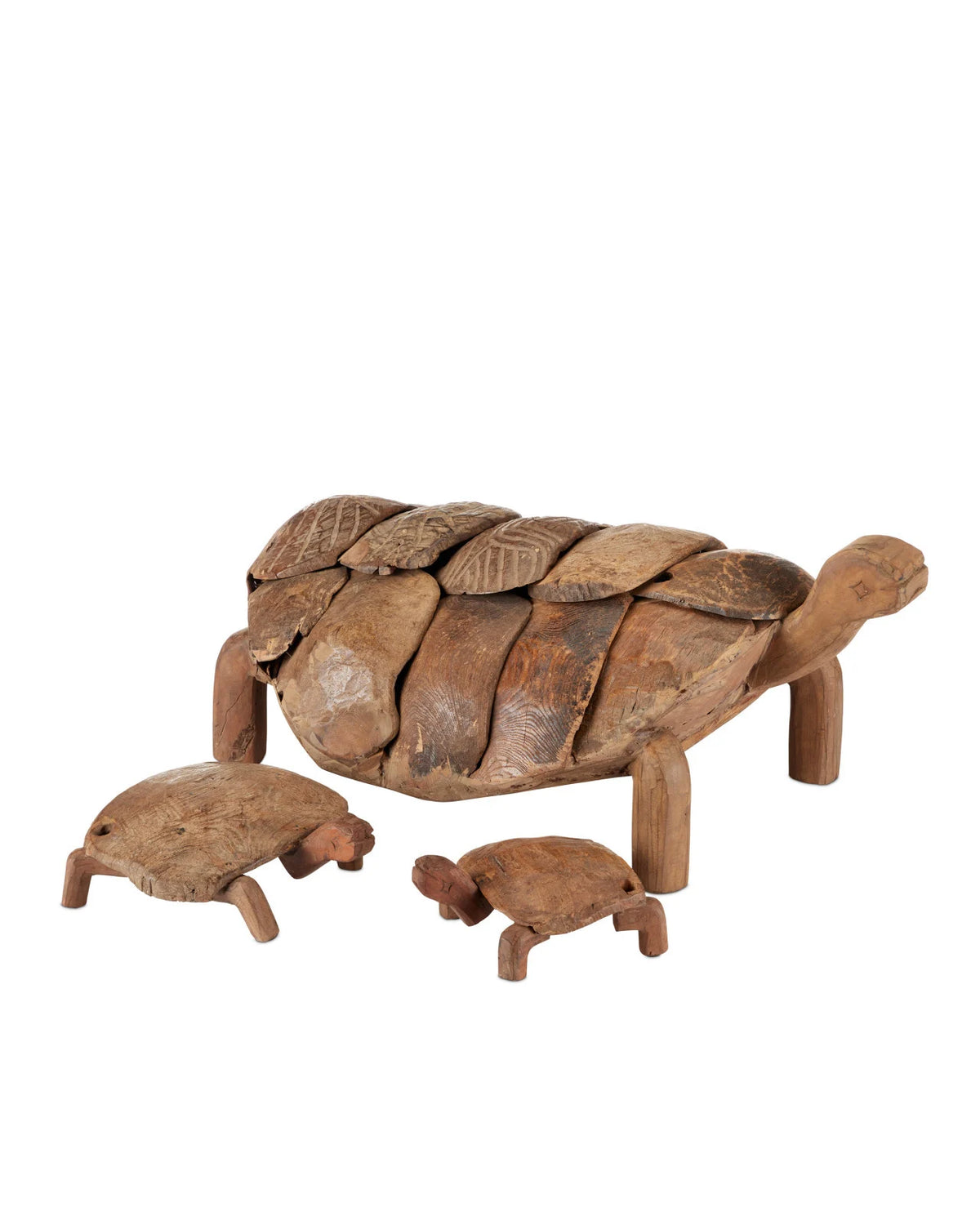 Wood Turtle Set