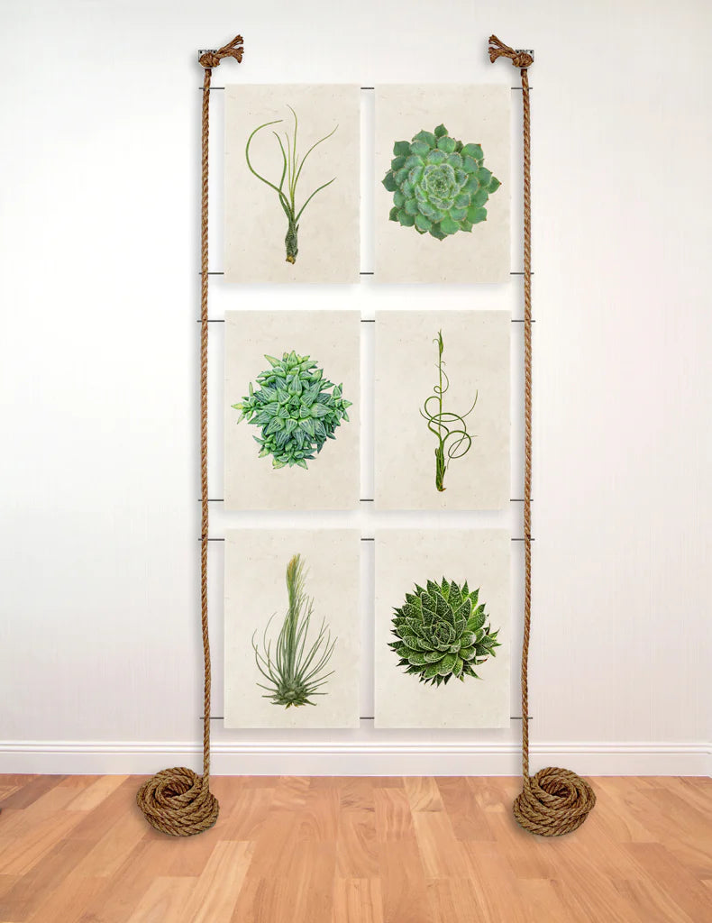 6 Print Display