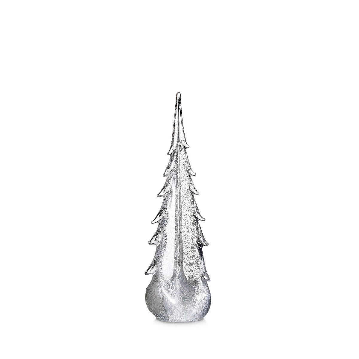 Silver Leaf Evergreen