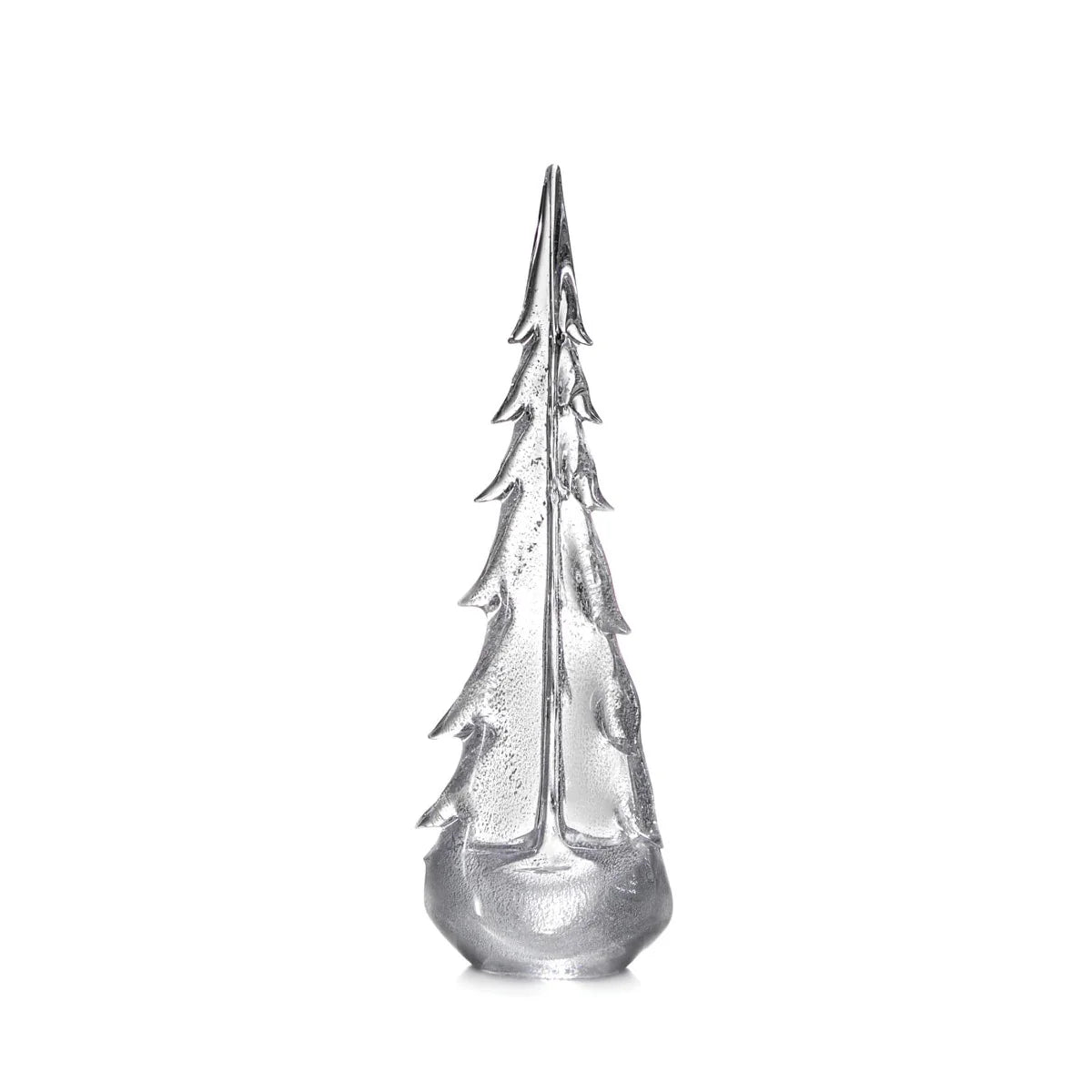 Silver Leaf Evergreen