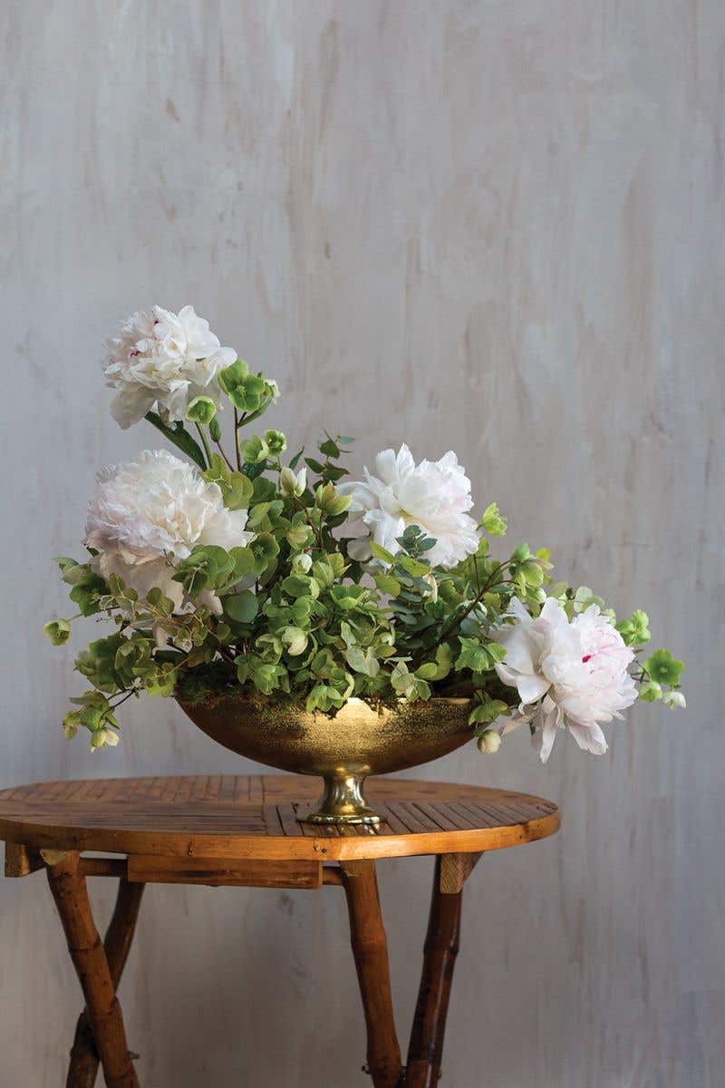 Charlize Compote