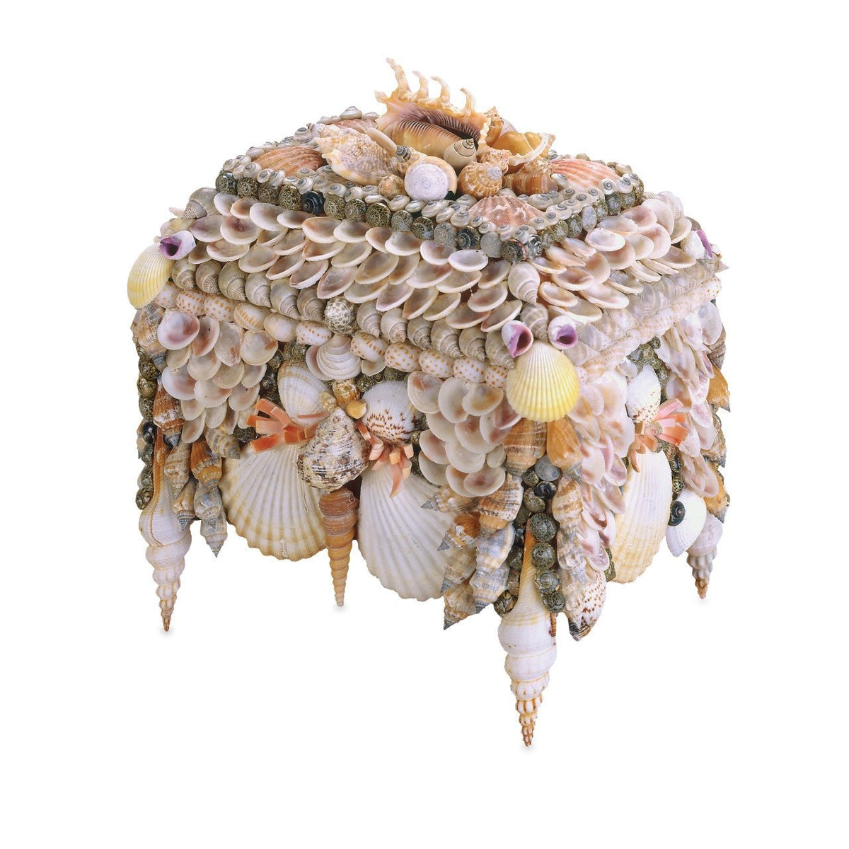 Boardwalk Shell Jewelry Box