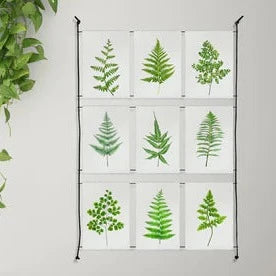 6 Print Display