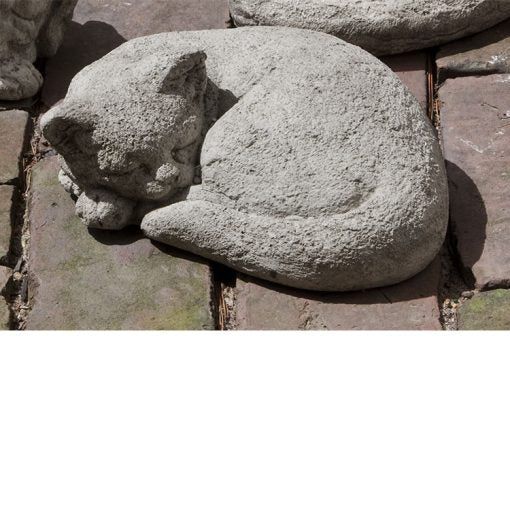 Curled Cat Small
