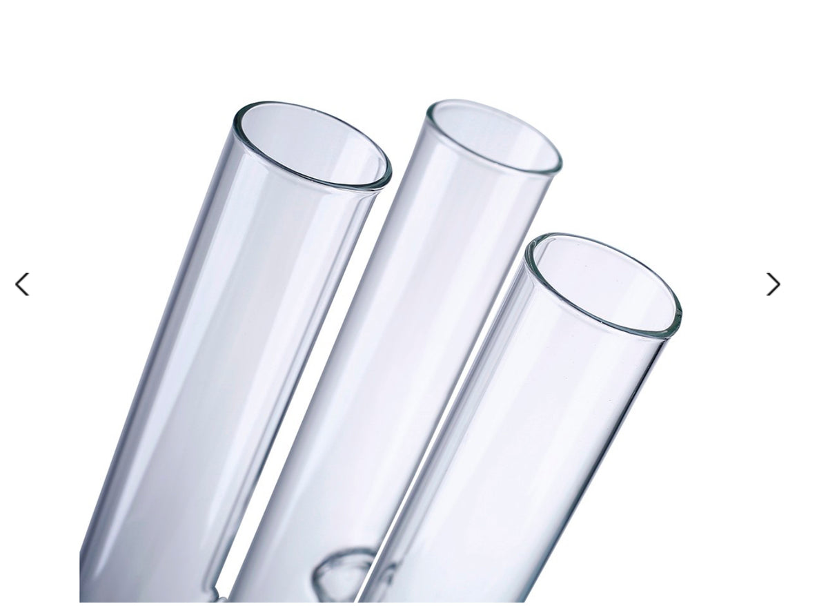 Clear Test Tube Vase