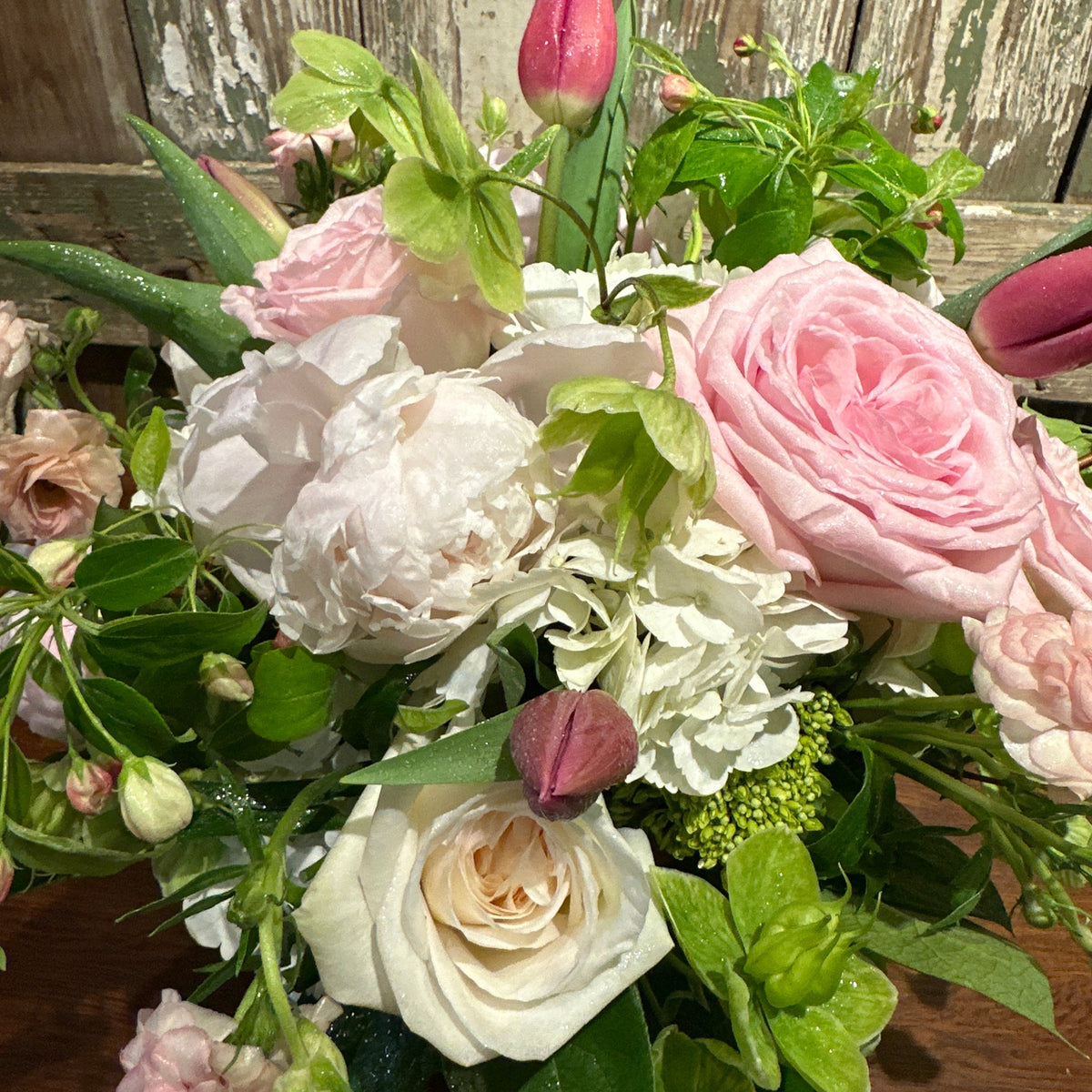 Mom's Favorite Rosy Check