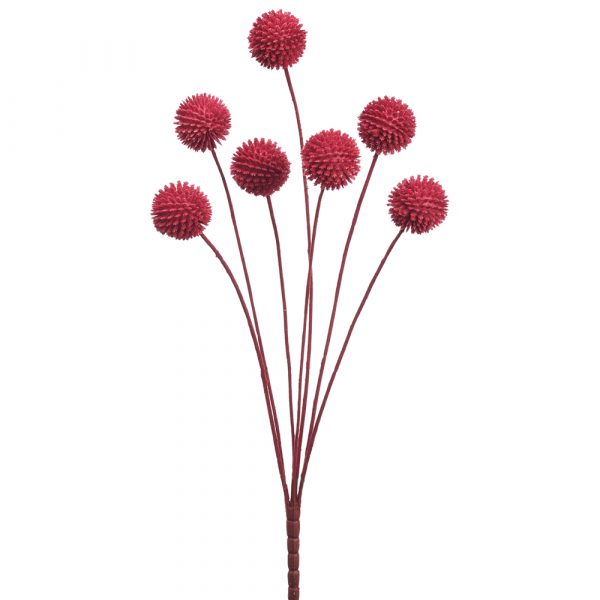 21" Billy Button Bundle