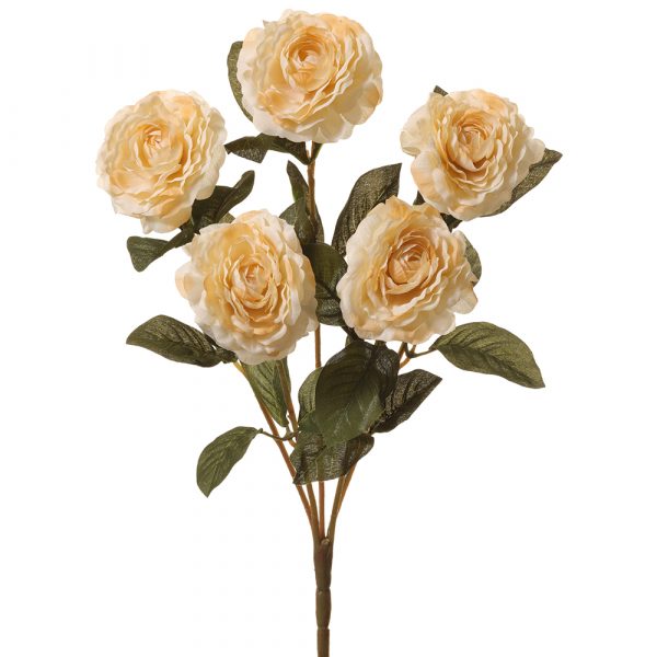 19" Camellia Bush