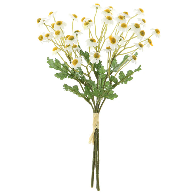 12" Mini Daisy Bundle