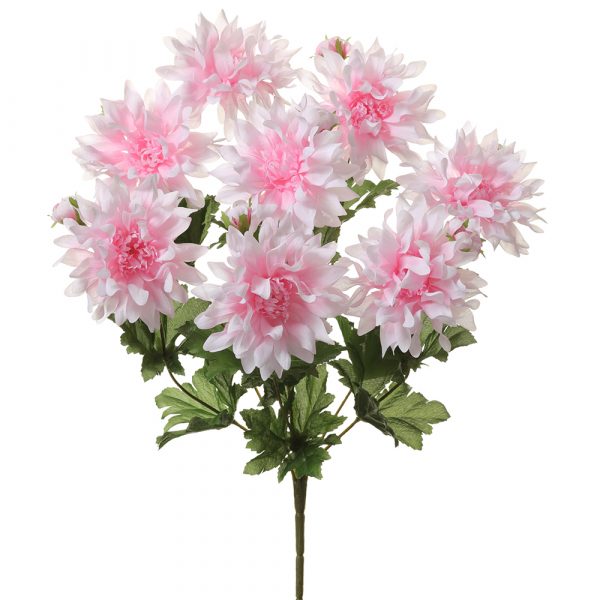 18" Dahlia Bush