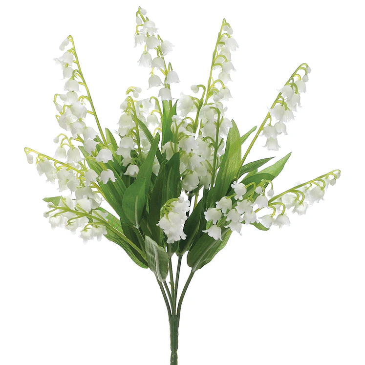 12" Lily Of The Valley Plant