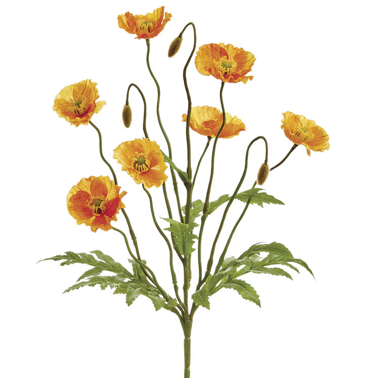 15" Poppy Plant