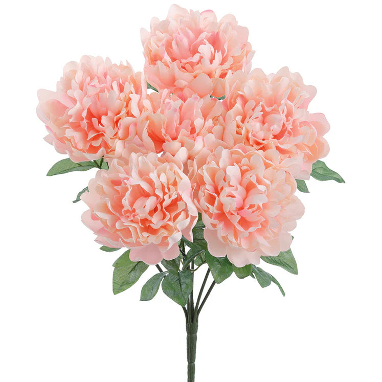 19" Peony Plant