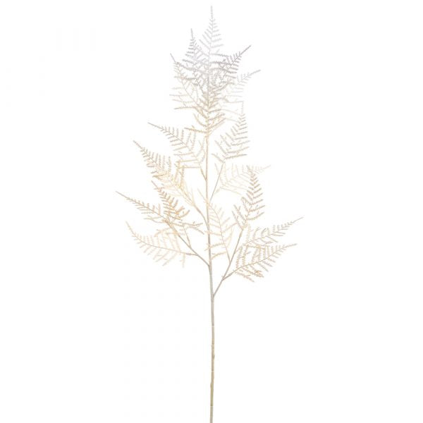 31.5" Cypress Stem  Cream
