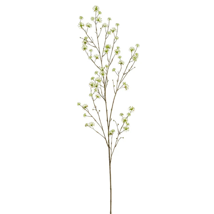 55" Cornus Branch (Copy)