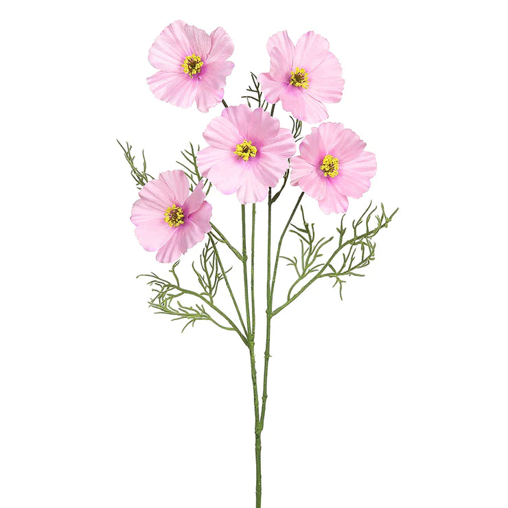 26" Cosmos Stem  Pink