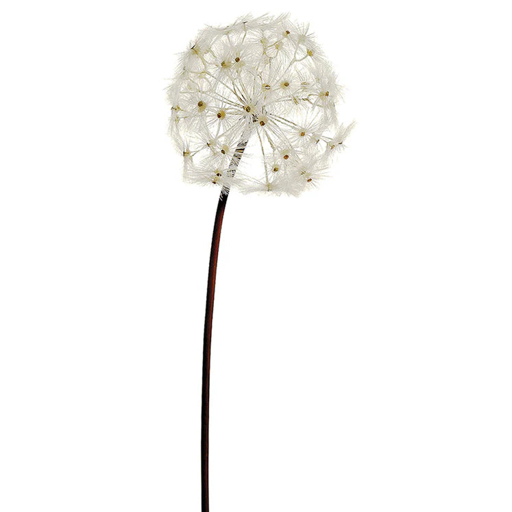 28" Dandelion Stem