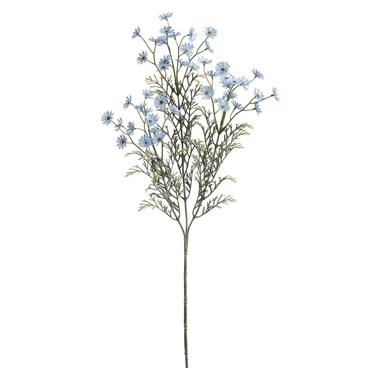 26" Marguerite Daisy Stem