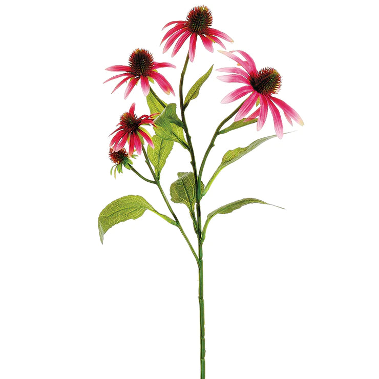 29" Echinacea Stem  Cerise