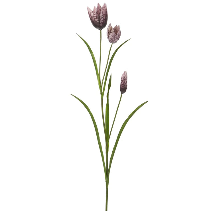 27" Fritillaria Stem  Purple