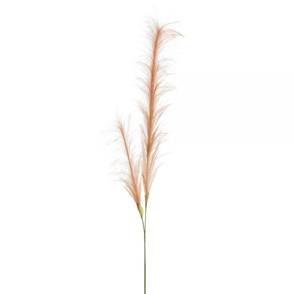 49" Pampas Grass Stem  Pink