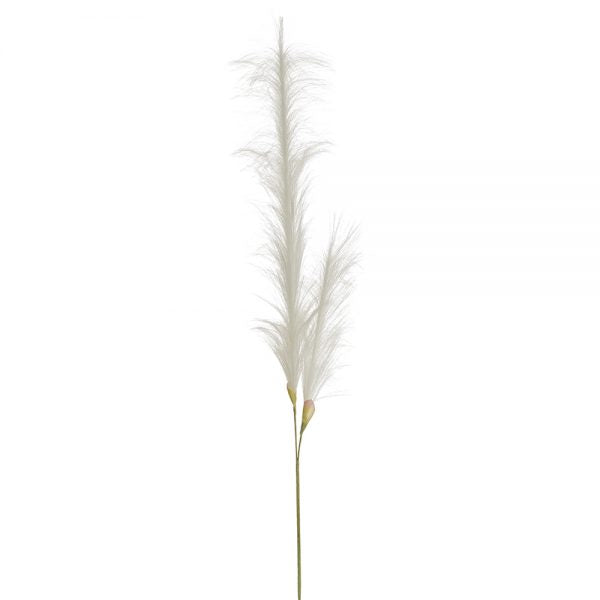 49" Pampas Grass Stem  White