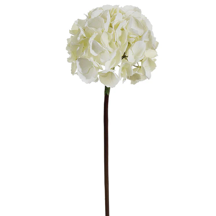 25" Hydrangea Stem