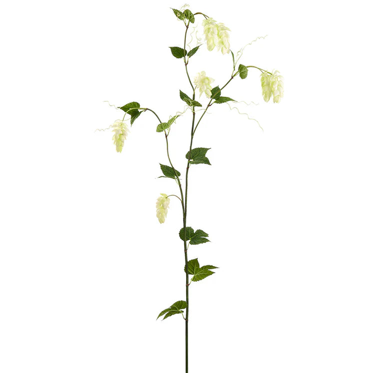 68" Hops Branch