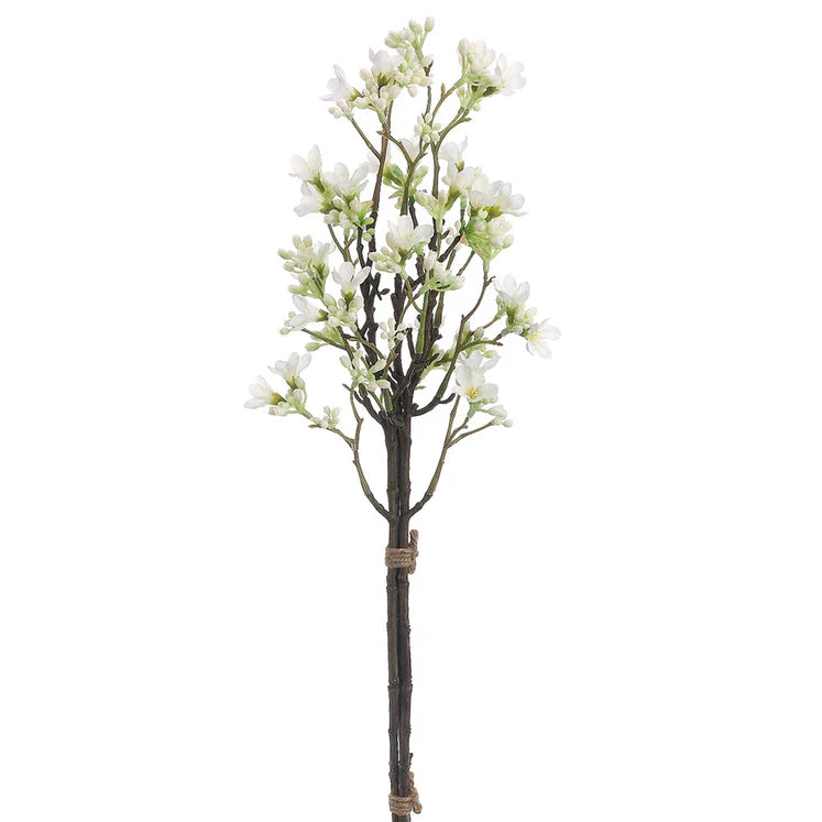 20" Heptacodium Blossom Bundle