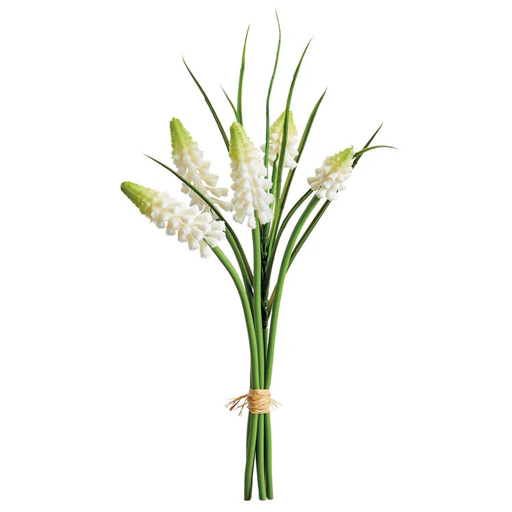 10" Muscari Bundle