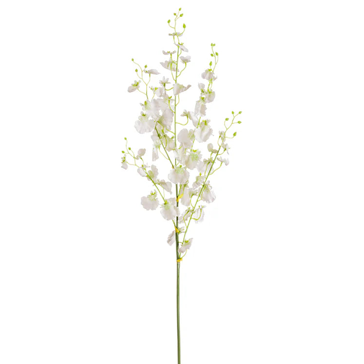 36" Oncidium Orchid Stem
