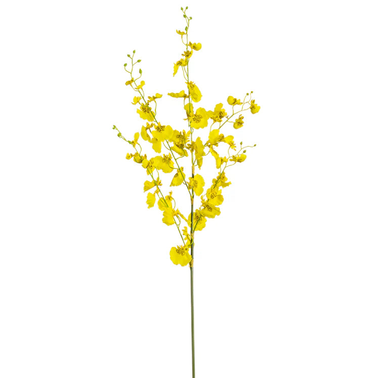 36" Oncidium Orchid Stem