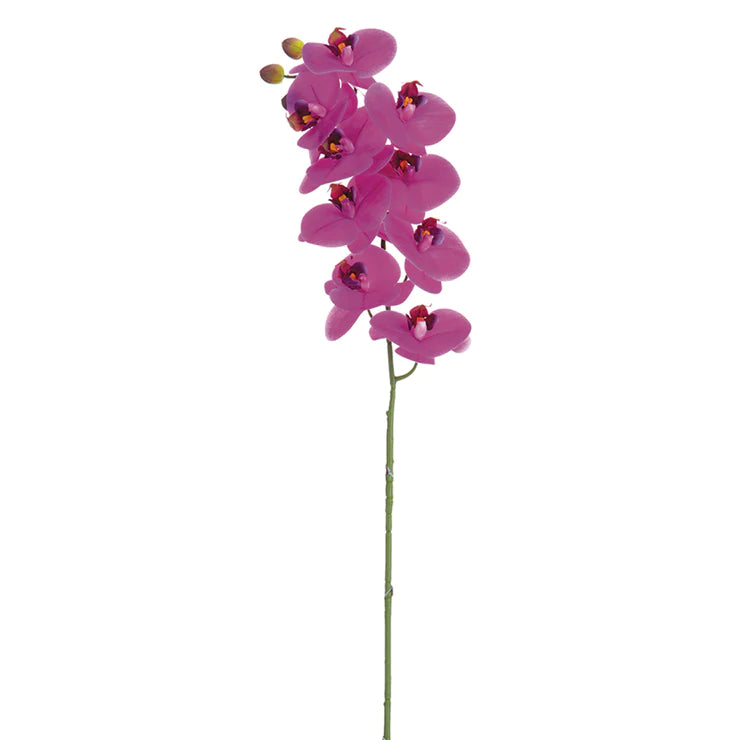 31.5" Phalaenopsis Orchid Stem Orchid
