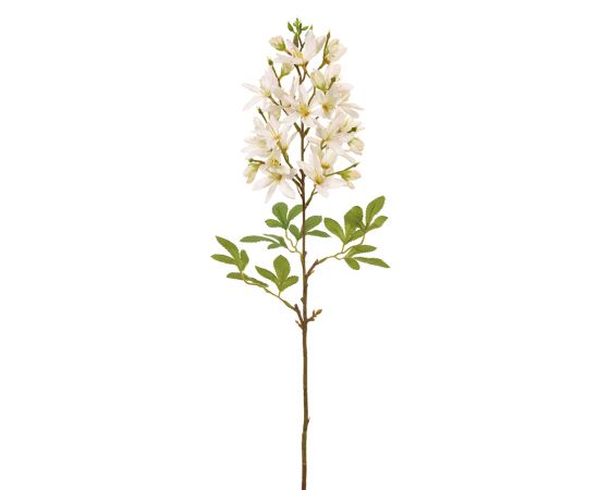 24.5" Cleome Stem  White