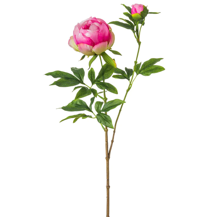 26.5" Peony Stem  Fuchasia