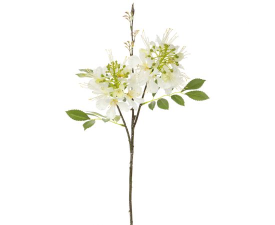 26" Paradise Flower Stem  White