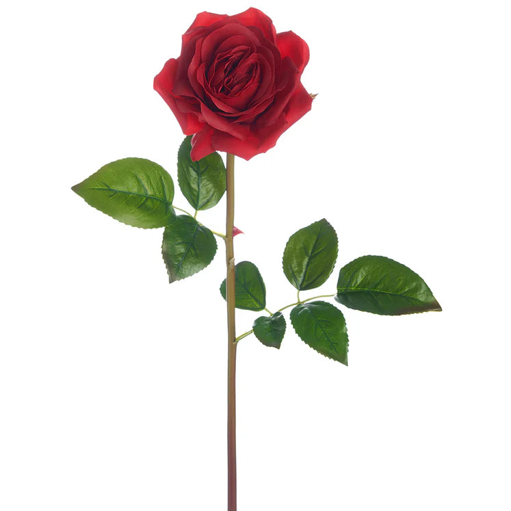 23" Garden Rose Stem