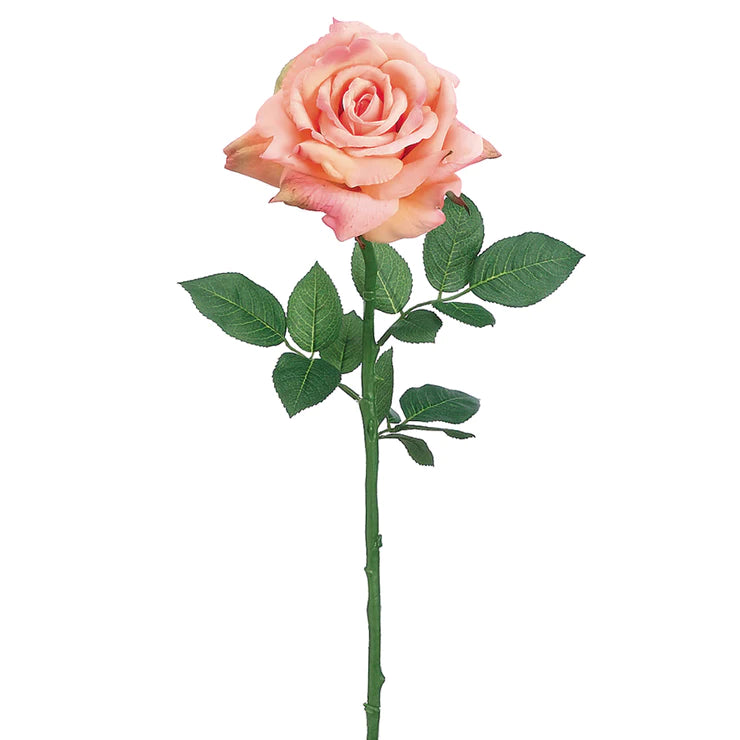 26" Diana Rose Stem  Two Tone Salmon