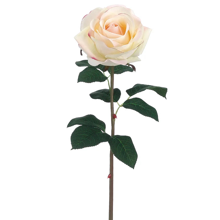 20" Garden Rose Stem